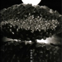 岡山県玉野市Sans Quoi サンコア加藤直樹 陶展 NATURE WORKS